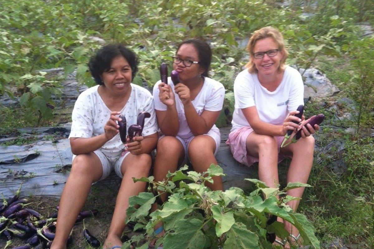 Indonesie-in-rijstvelden.jpg